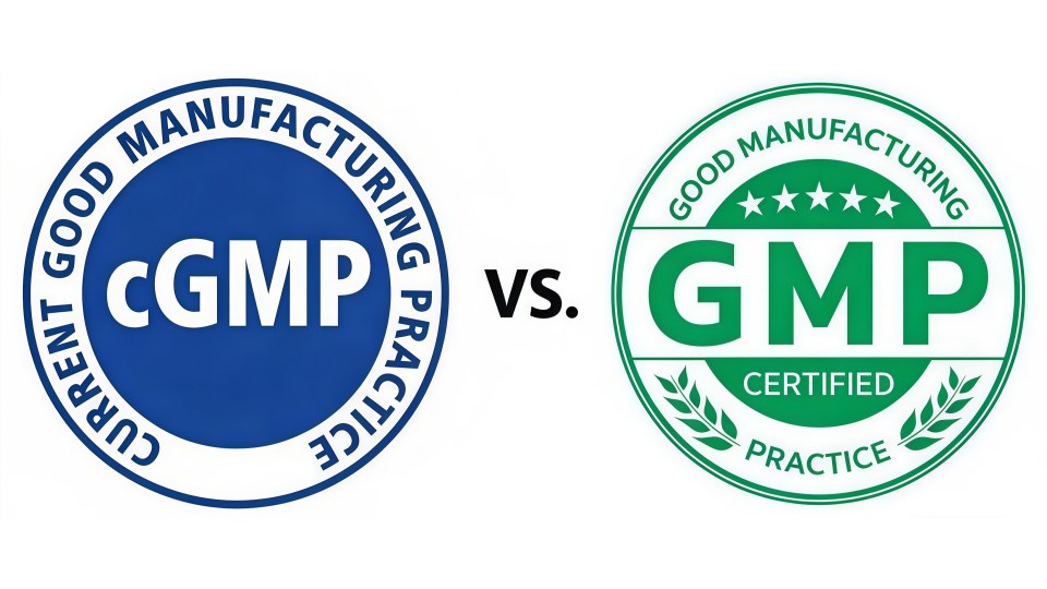 cGMP-Compliant SS 316L: Why the Material Matters